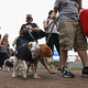Photo: Jonathan Daniel/Getty Images